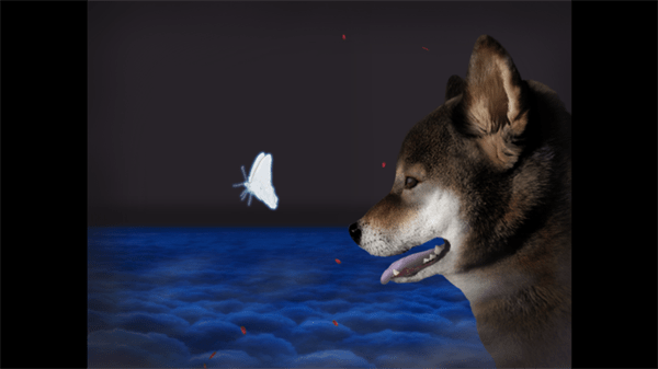 翌日-波奇狗的历险记-图4