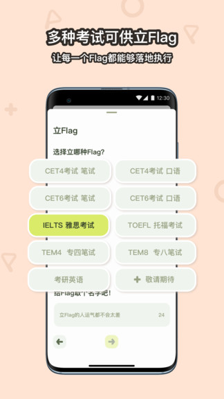 flaget(计划任务管理)图3