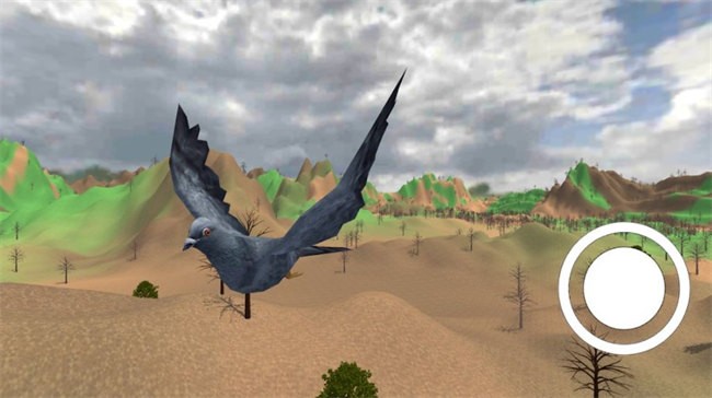 鸽子飞行模拟游戏(Pigeon bird flying sim game 3d)图2