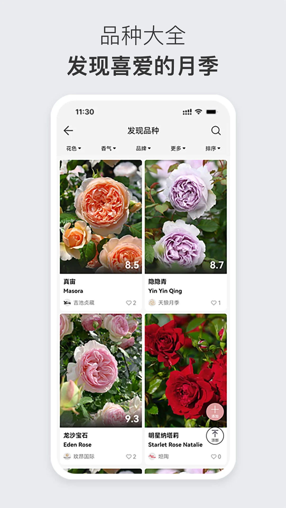 月季之家图1
