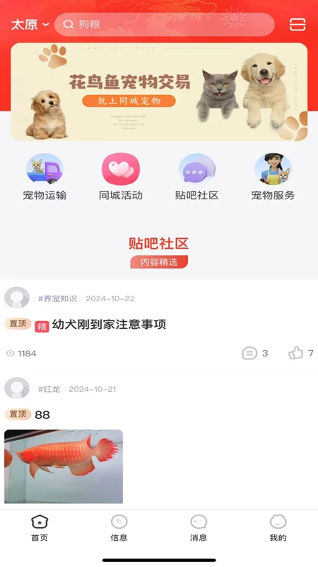 同城宠物