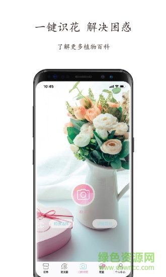 斗南花立购图3