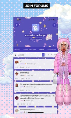 Everskies安装器图3