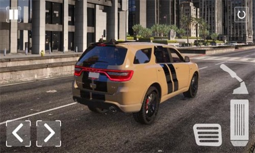 杜兰戈模拟器图1