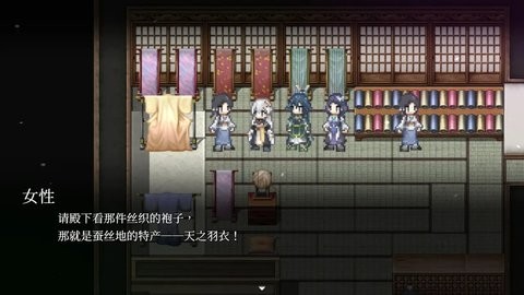 和平缔造者:光辉王女
