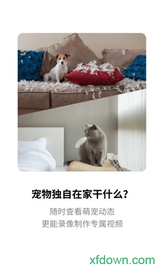 腾讯慧看家图2