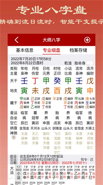 大师八字排盘图4