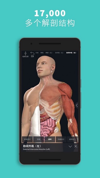 complete anatomy 2021汉化正式版图2