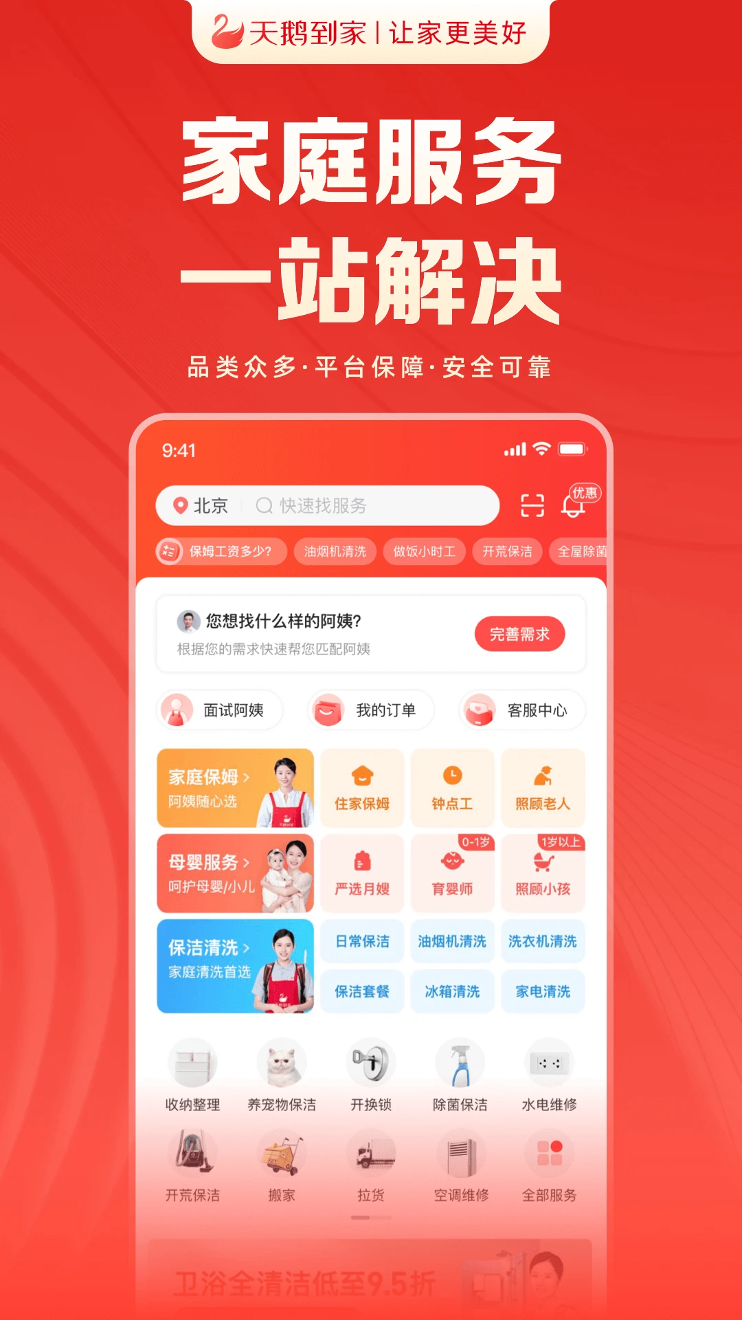 天鹅到家图1