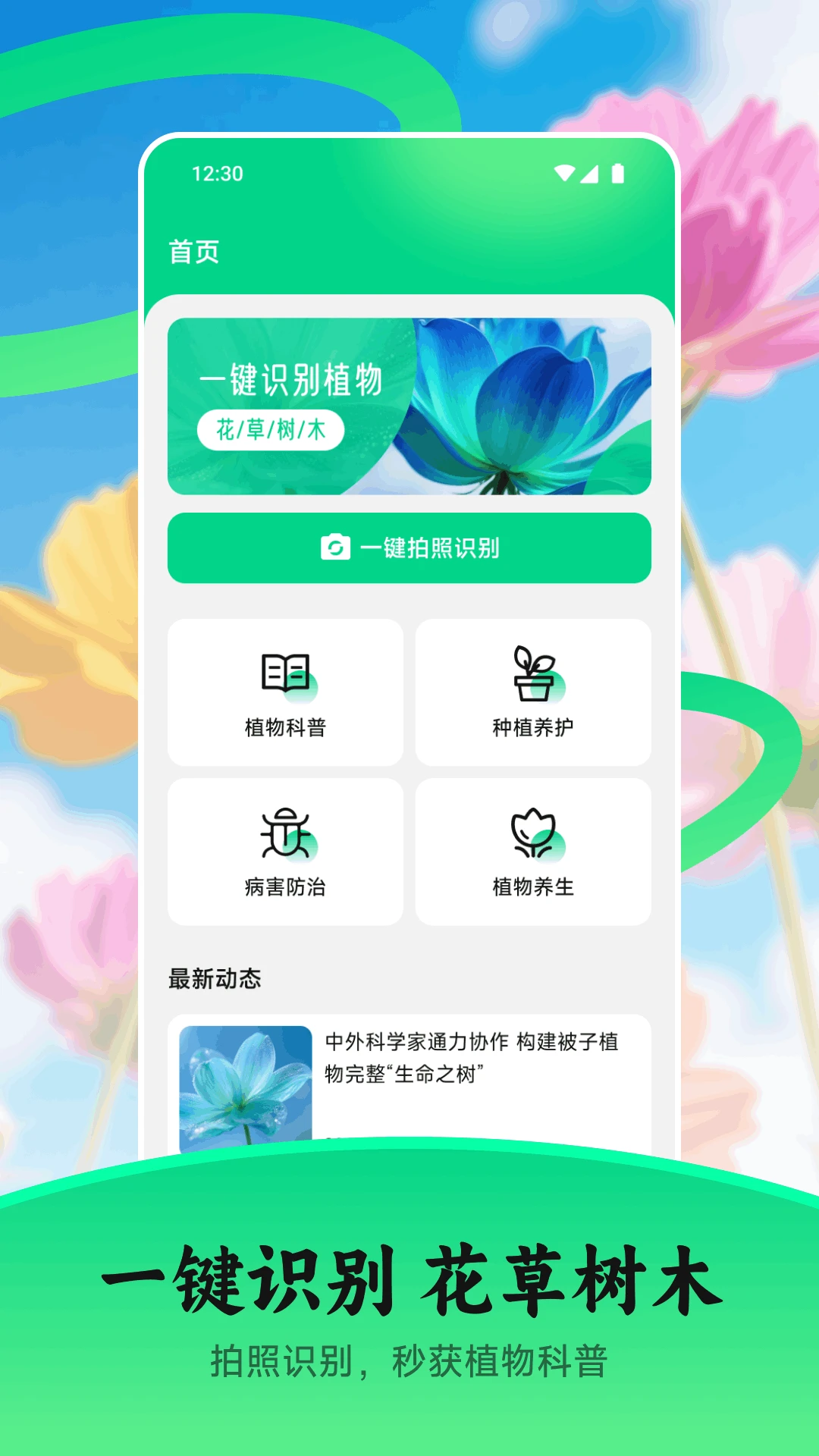 花苞