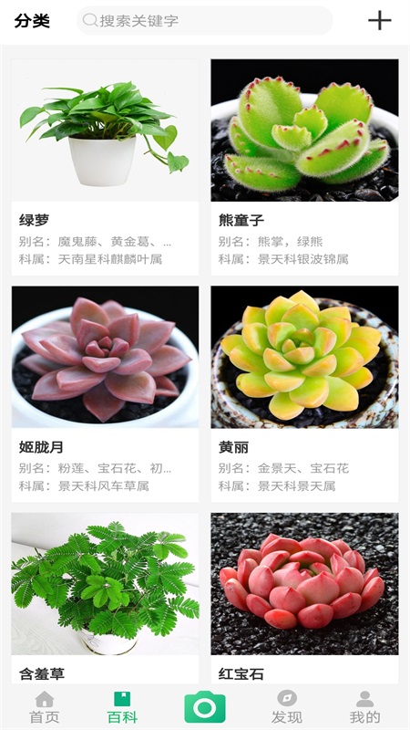 御花园养花图1