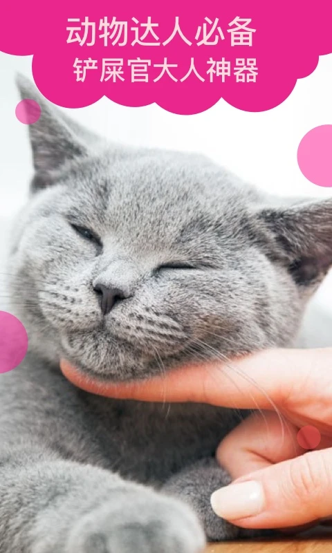 猫语翻译图5