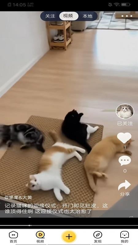 养宠汇图3