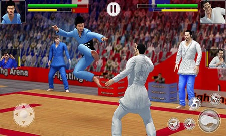 功夫大师(Karate Fighter)图3