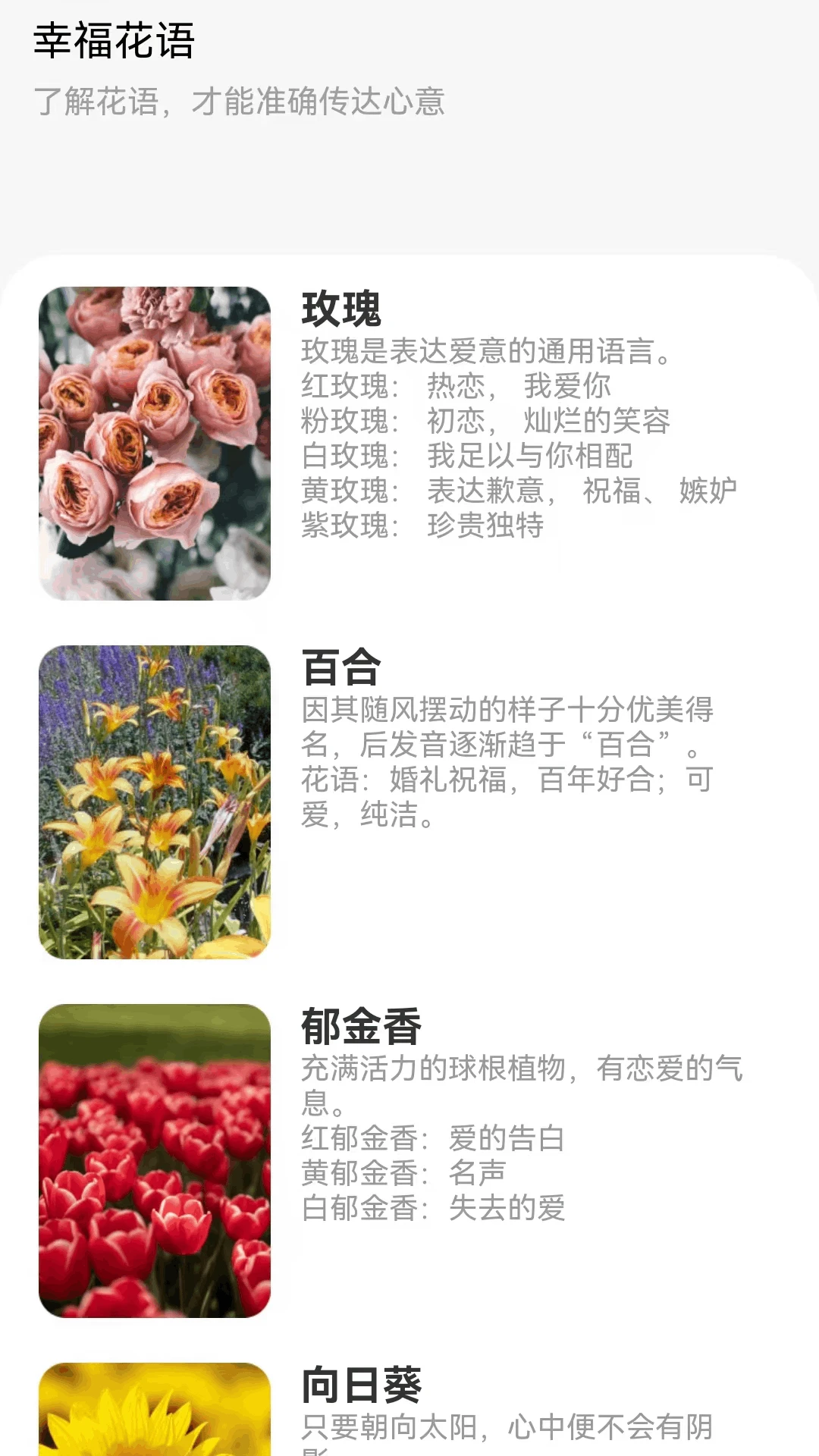 锦色悦看图3