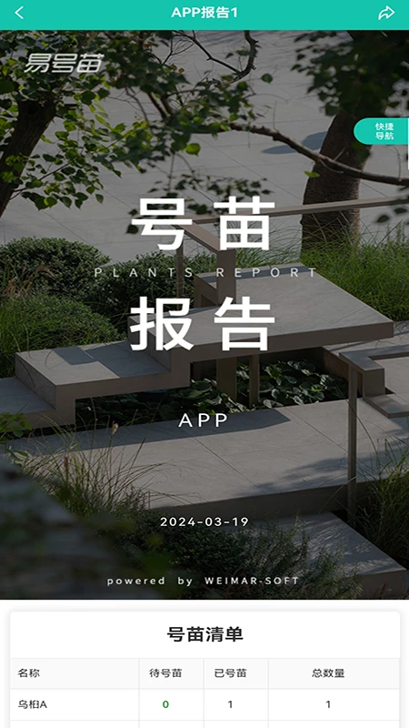 易号苗图4