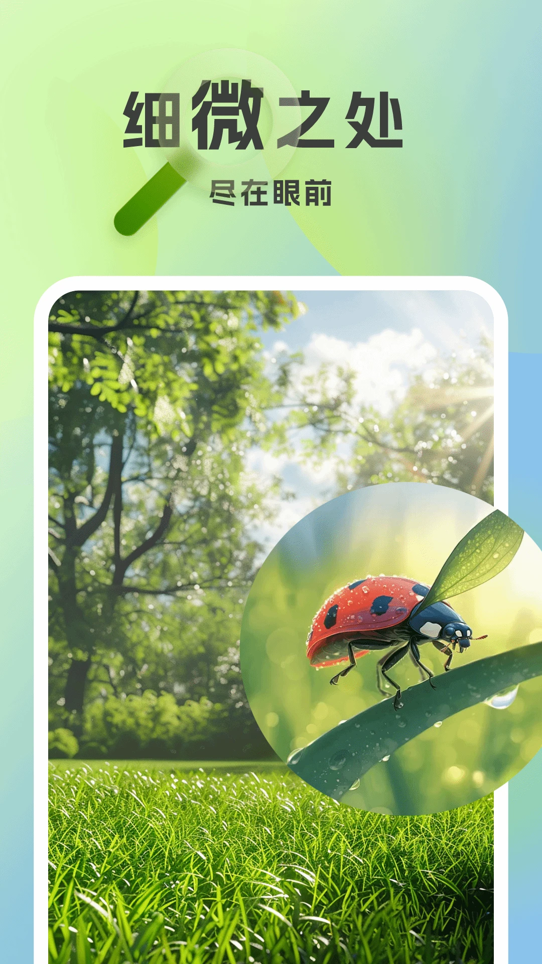 放大镜超清版图4