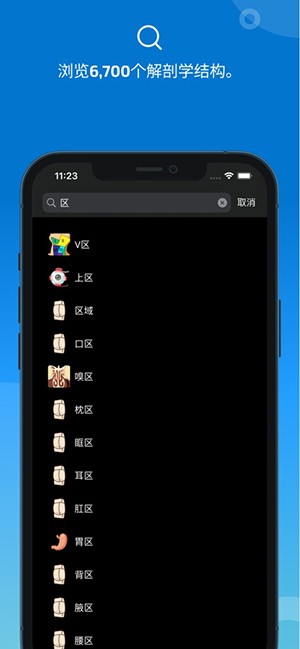 eAnatomy官方正版 安卓版v7.4.15图4