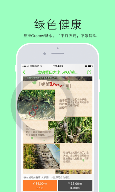 Greens(绿色食品)图1