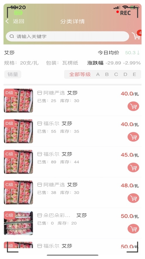 花舰图3