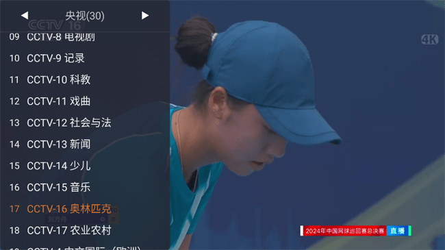 webview电视版本1.9.2最新版图4