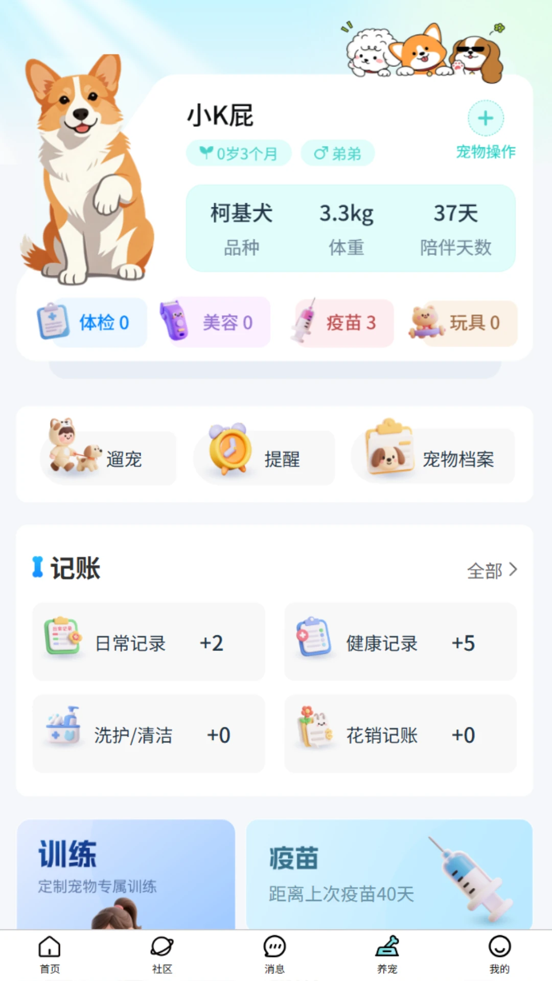 乖宠宠 乖宠宠