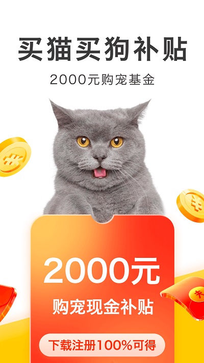 买只宠物