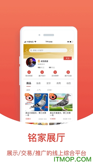 赛鸽头条搜鸽天下图4