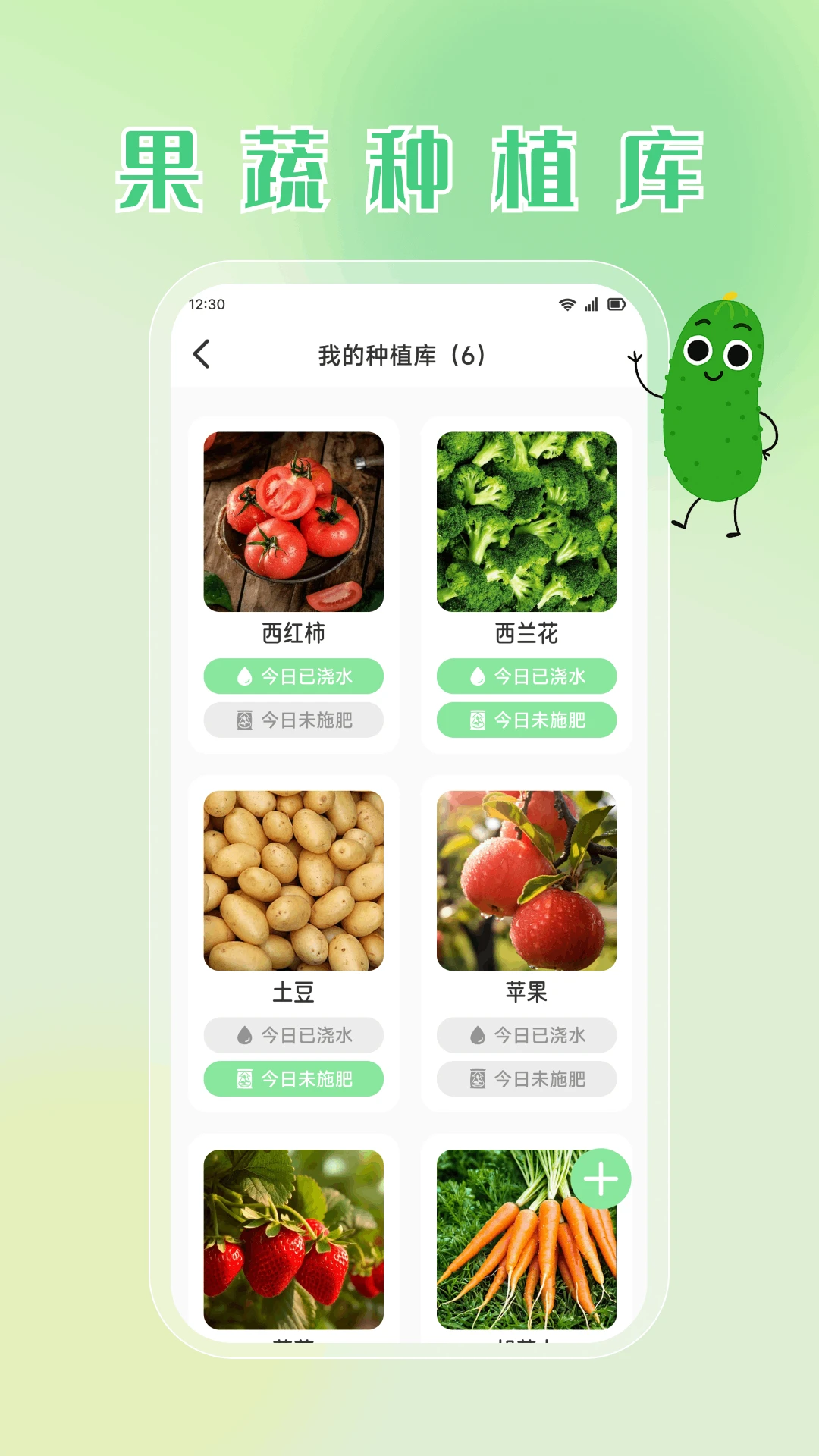九彩果鲜图3