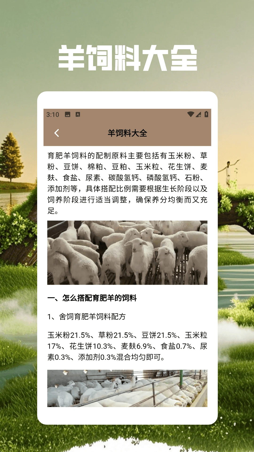 肥羊的发财之路极速版图4