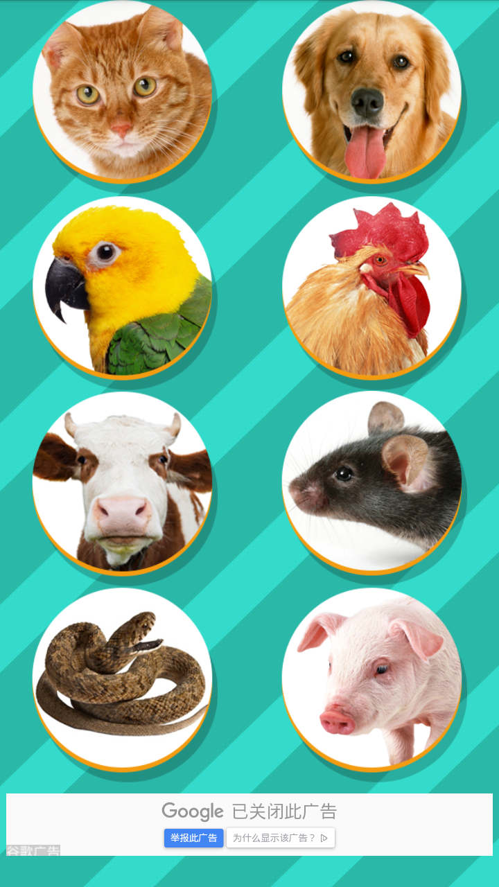 Pet Translator动物声音转换器软件图3