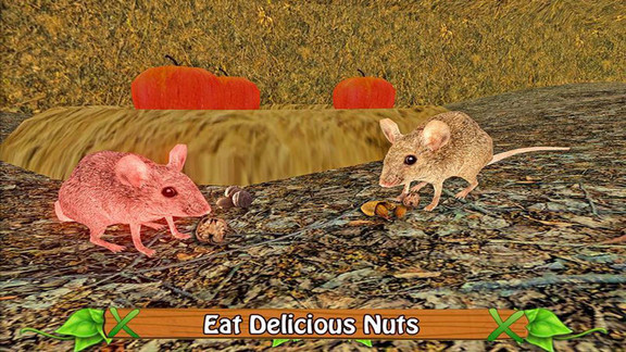 老鼠模拟器 老鼠模拟器