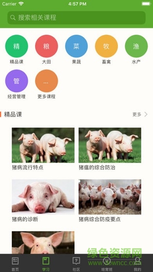温农云