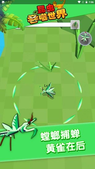 昆虫吞噬世界图3