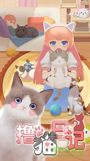 撸猫日记图1