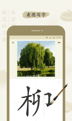 最最汉字(汉字学习软件)v5.11 安卓版图2