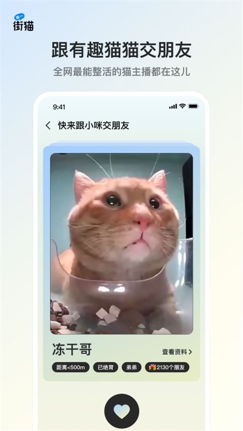 街猫(流浪猫领养软件) v3.2.6 安卓版图1