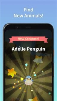 合并可爱的动物