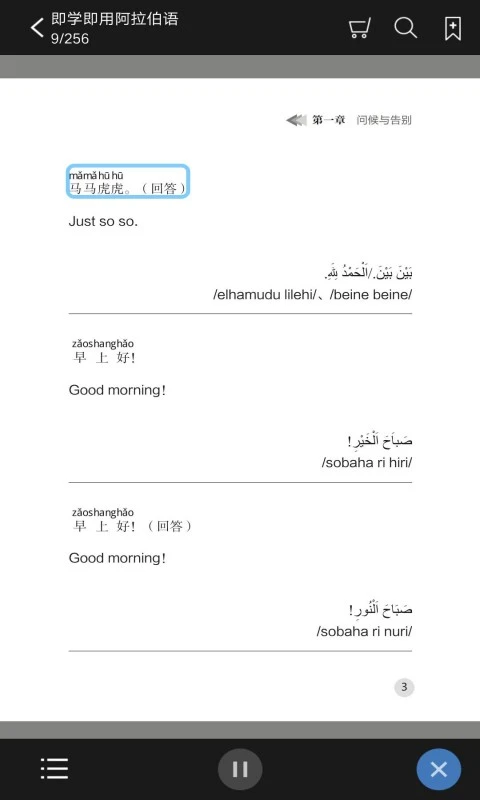 即学即用阿拉伯语