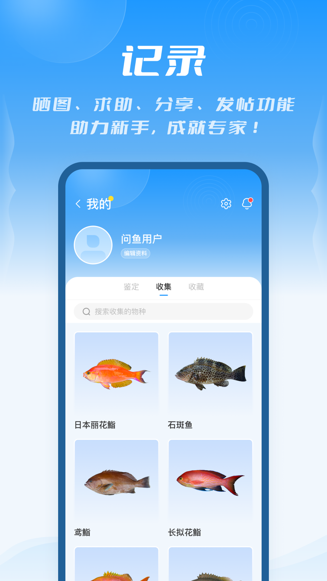 问鱼图4