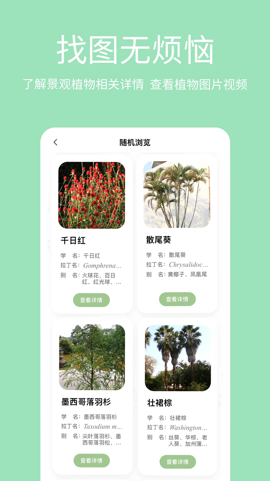 绿图图2