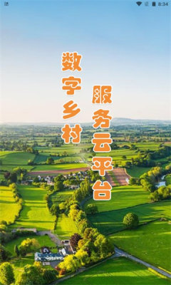 数字乡村 数字乡村