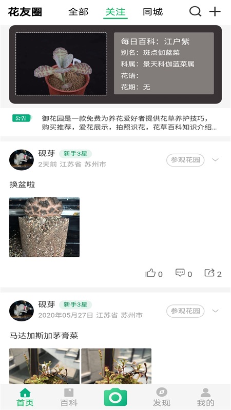 御花园养花图2