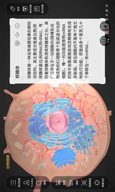 细胞生物学3D资源库系统图2
