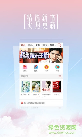 91熊猫看书图2