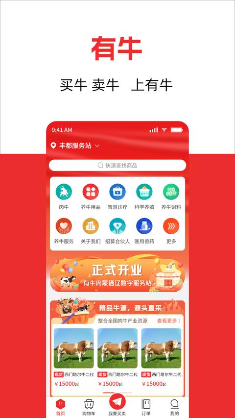 有牛图1
