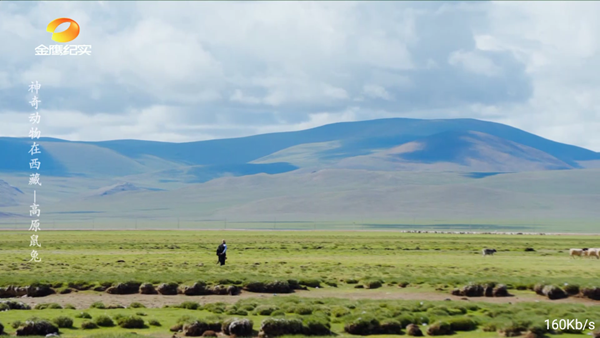 落日TV 电视版v5.5.1图1