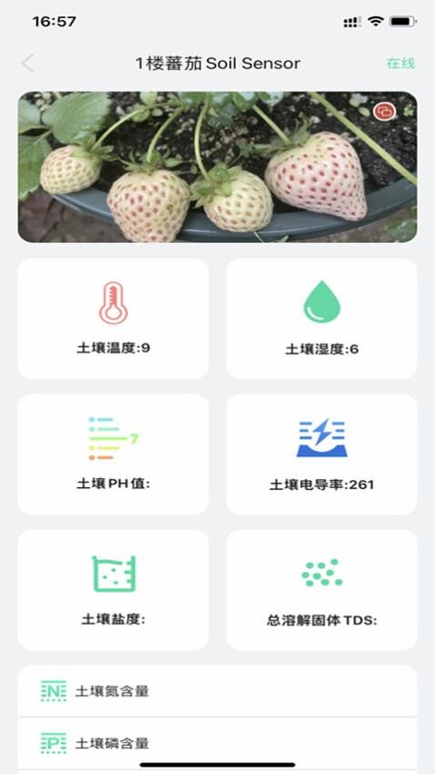 植物宝图5