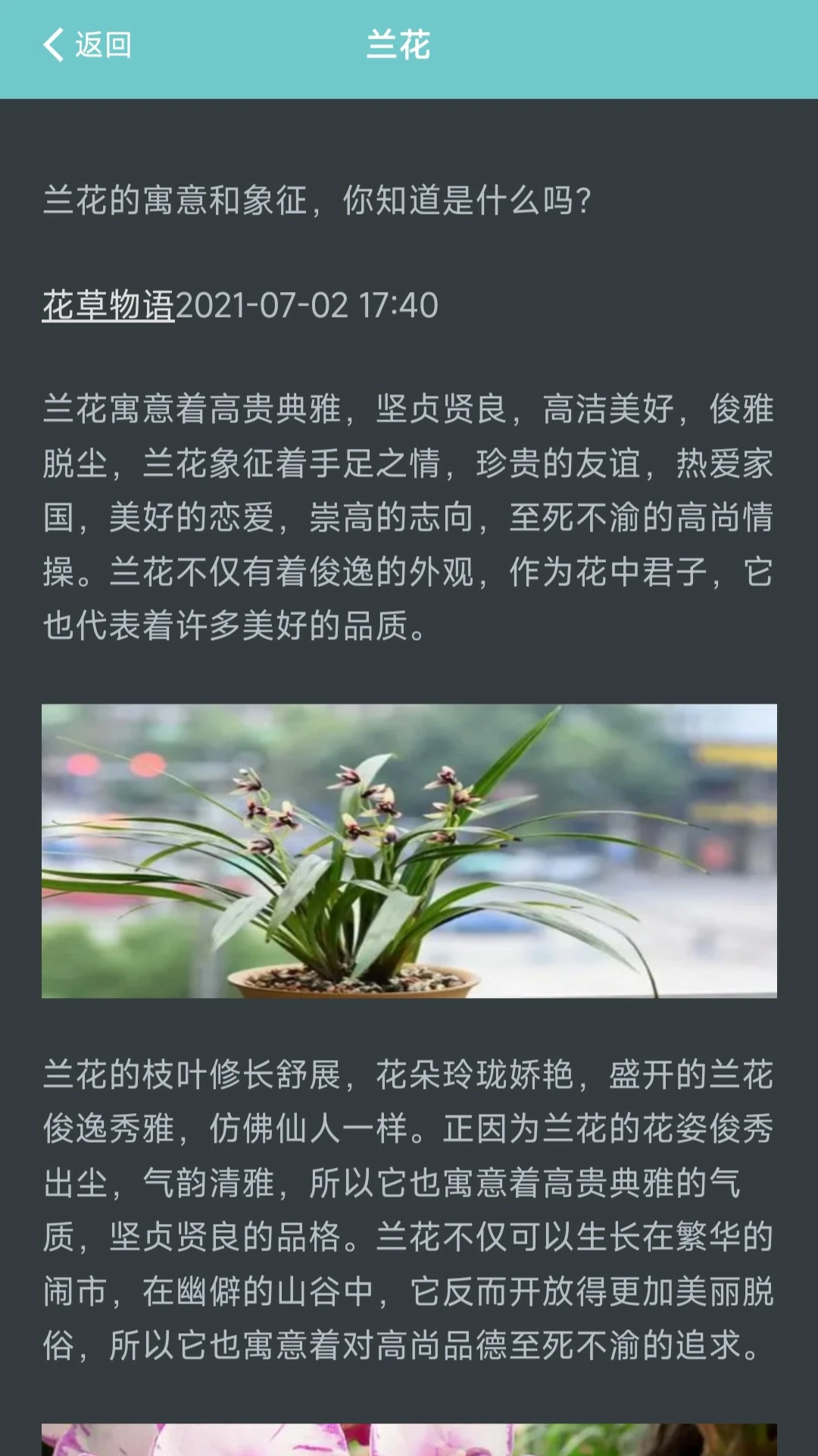 我的花店 我的花店