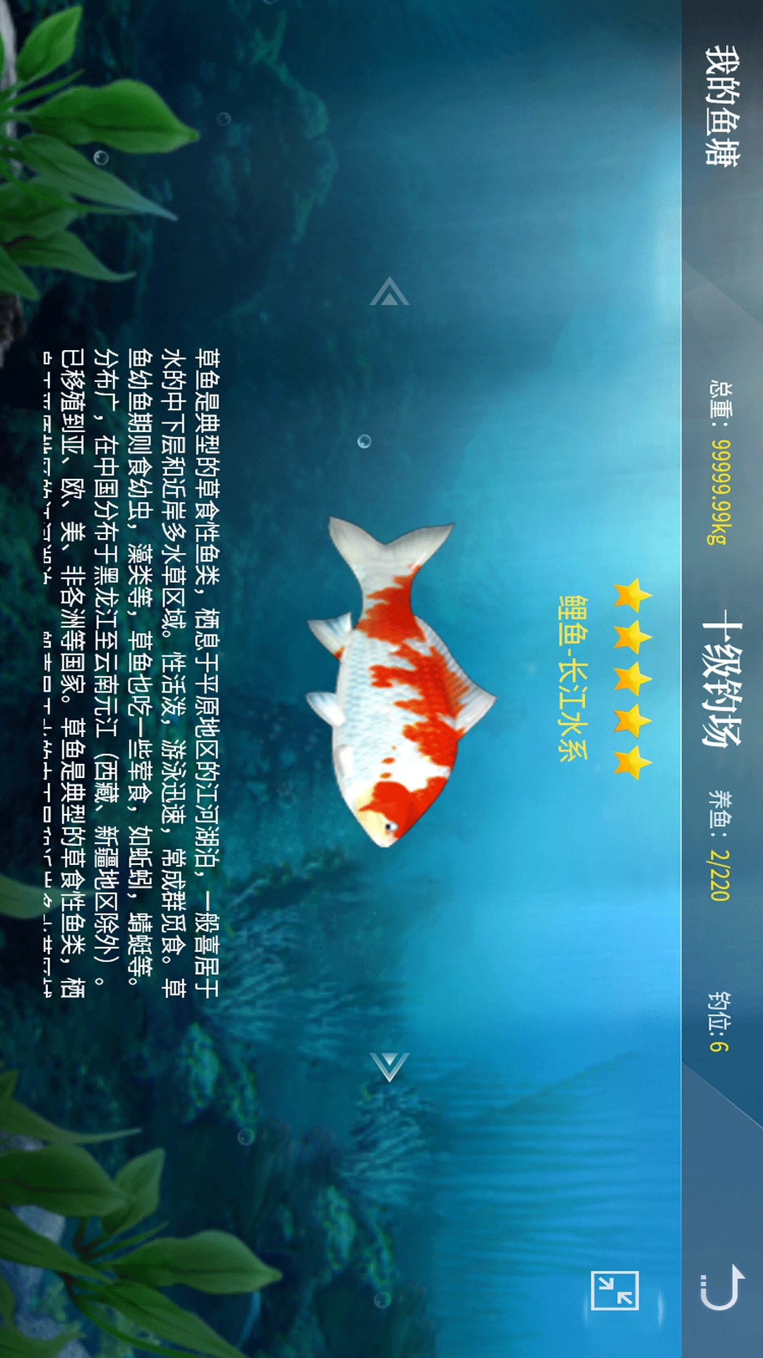 垂钓宗师图2
